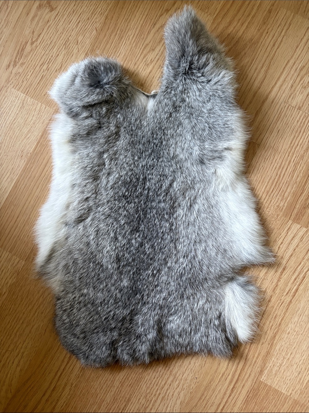 B0132 rabbit pelt